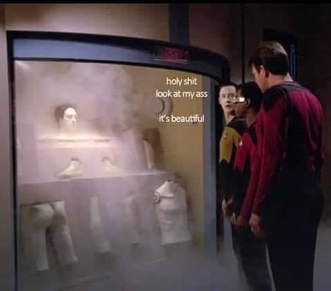 The meme features a still image from the Star Trek: The Next Generation episode "The Outcast" (Season 3, Episode 13). The image shows a character, Lieutenant Worf, standing in front of a holodeck simulation of a woman, who is speaking in a calm and seductive tone. The text overlayed on the image reads "I find your lack of faith... disturbing" (a quote from the Star Wars franchise), but the actual quote in the meme is "holy sh*t, look at my ass... it's beautiful".